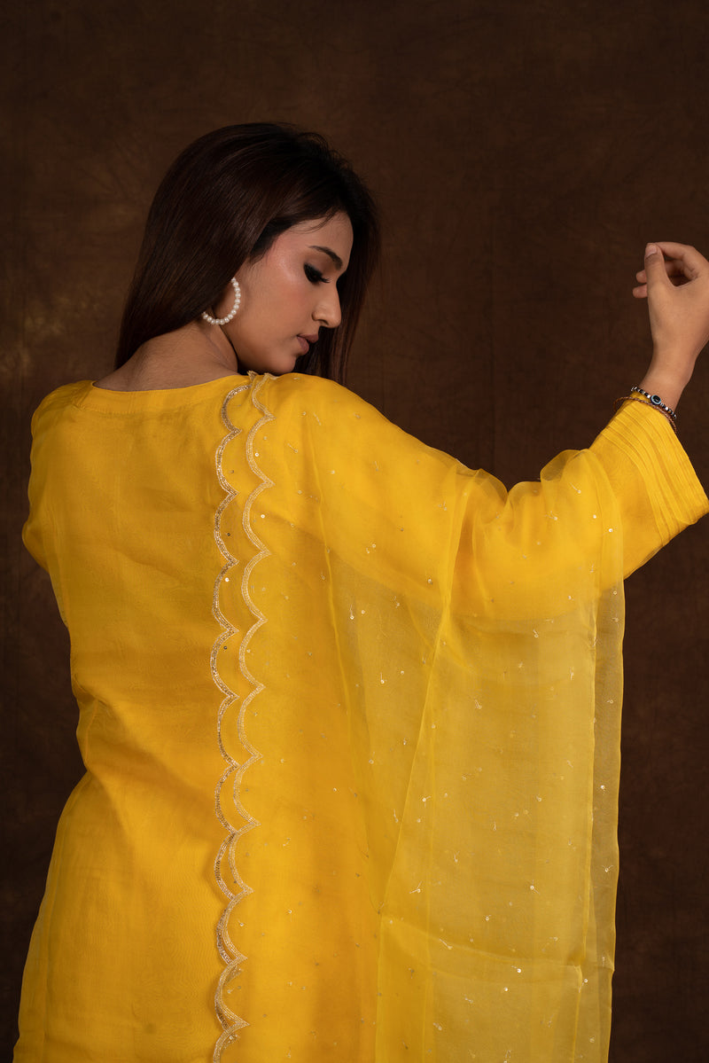 Indrani Yellow Embellished Suit Set Libaas e Lucknow